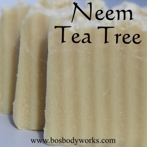 Neem Tea Tree 600x600 2
