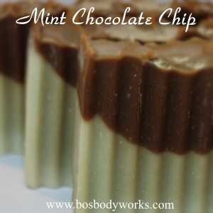 Mint Chocolate Chip 600x600 2